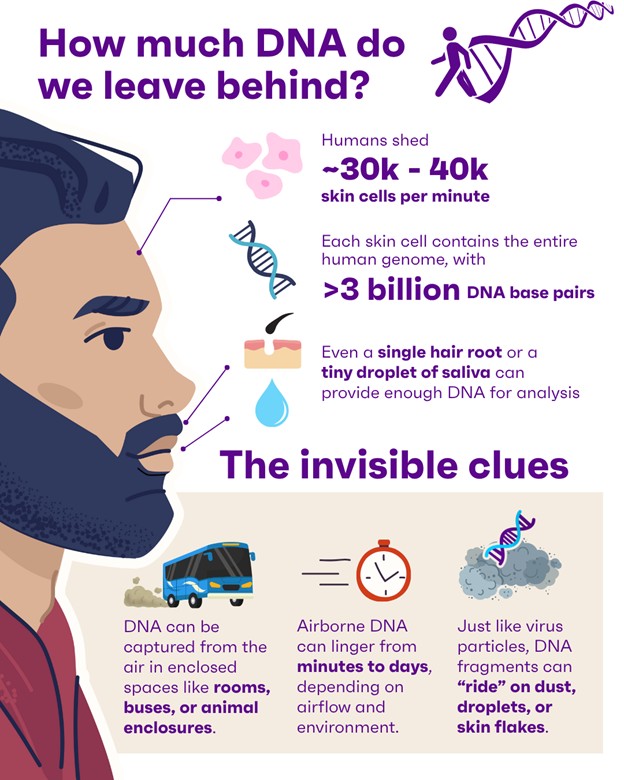 Infographic explaining how much DNA humans leave behind.