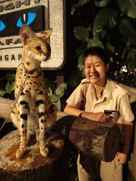 A lady in a khaki uniform poses next to a spotted serval.